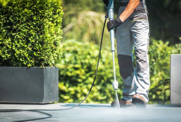 Best Brick and Stone Cleaning in Waynesboro, VA